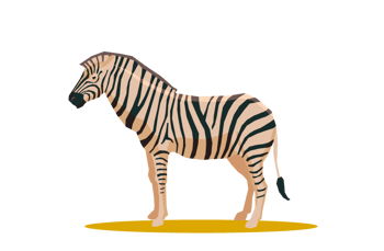 Cebra Cebra